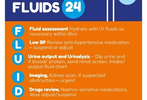Fluids 24.jpg