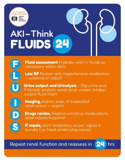 Fluids 24.jpg